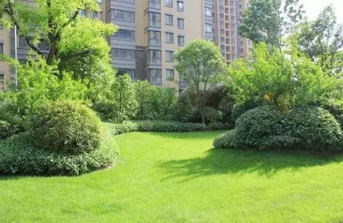 园林绿化工程中的核心技术 地被植物放线手法的精准运用