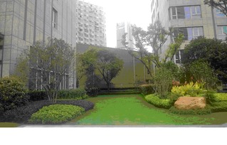 绿化工程网 园林绿化工程施工全流程解析