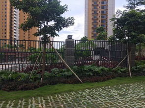 深圳羊台苑小区绿化工程 构建都市生态人居典范