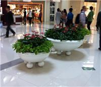 中山全方位绿化与植物租赁服务指南 从风水绿植到园林工程，打造高性价比绿色空间